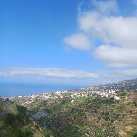 Madeira Pura * カリェタ